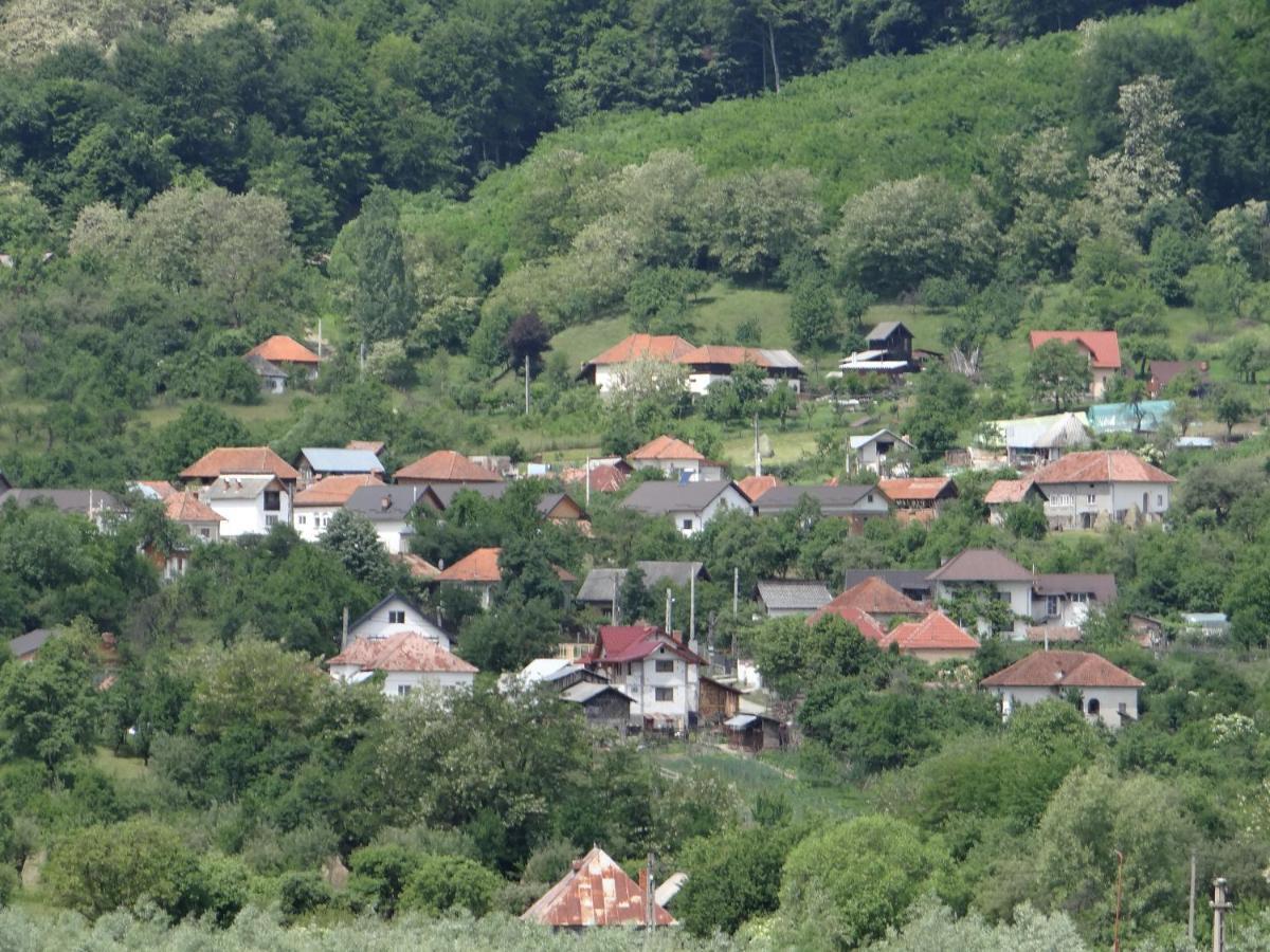 Pensiunea Lacul Albesti Albestii Paminteni Kültér fotó