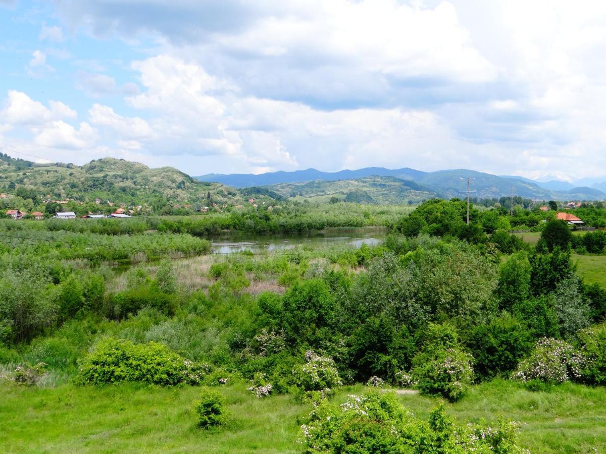 Pensiunea Lacul Albesti Albestii Paminteni Kültér fotó