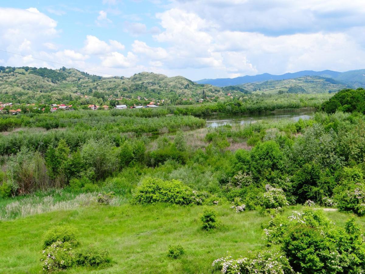 Pensiunea Lacul Albesti Albestii Paminteni Kültér fotó