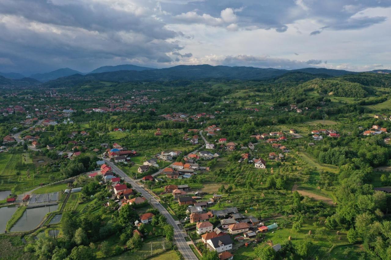 Pensiunea Lacul Albesti Albestii Paminteni Kültér fotó